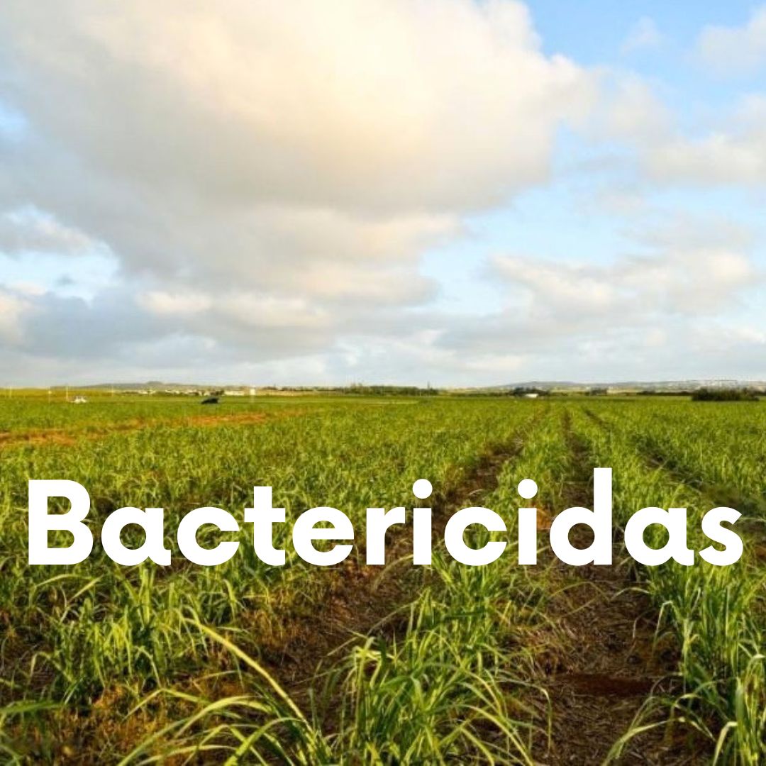 Bactericidas
