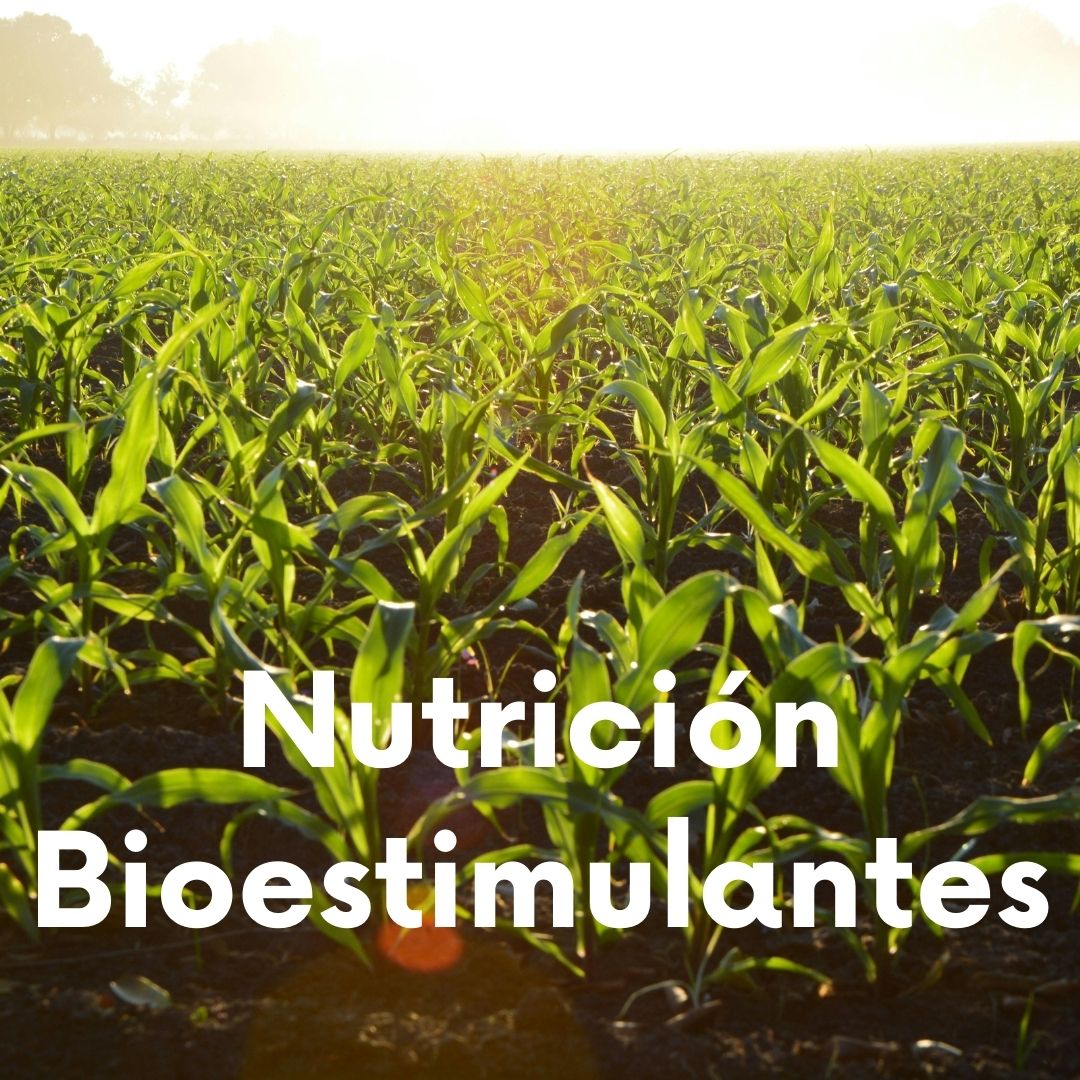 Nutrición / Bioestimulación