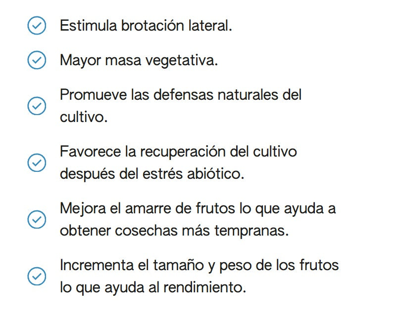 MARVITA