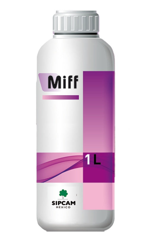 MIFF