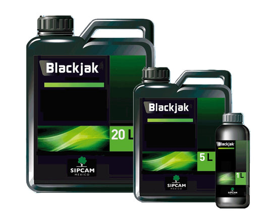 BLACKJAK