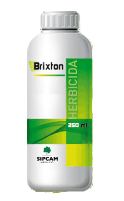 BRIXTON