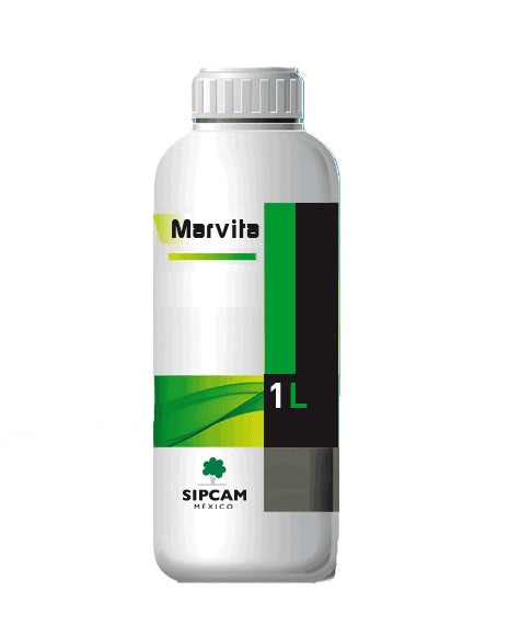 MARVITA