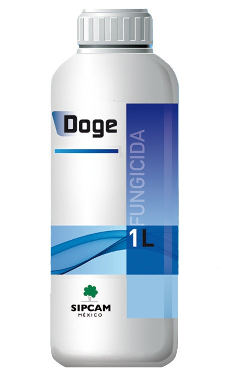 DOGE