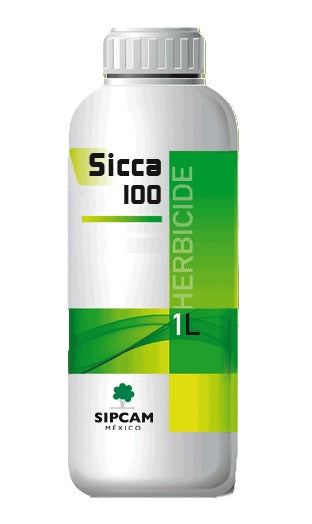 SICCA 100