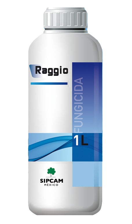 RAGGIO
