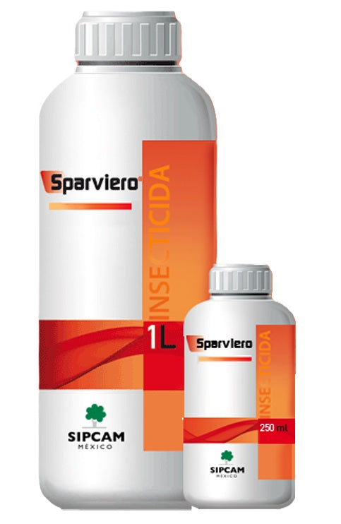 SPARVIERO
