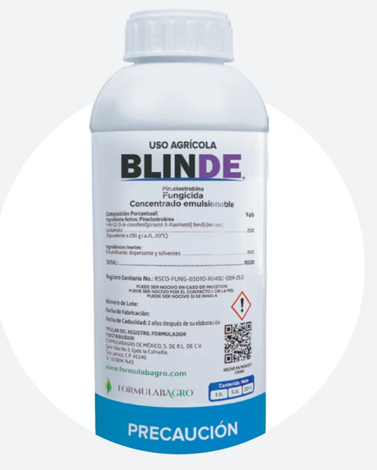 BLINDE