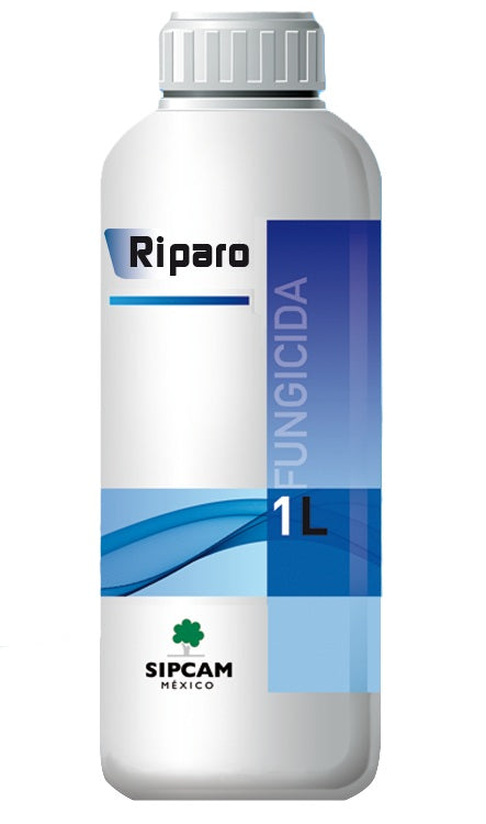 RIPARO
